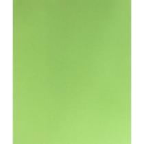 Placa em EVA 47X40CM Verde Claro 1,8MM.