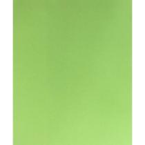 Placa em EVA 47X40CM Verde Claro 1,8MM PCT com 10 - Dubflex