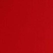 Placa em EVA 47X40CM Vermelho Vivo 1,8MM Pacote com 10