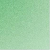 Placa em EVA 60X40CM Verde Claro 1,6MM PCT com 10