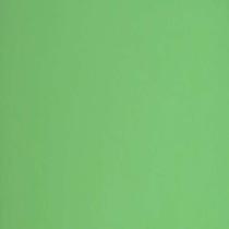 Placa em EVA 60X40CM Verde Claro 1,8MM.