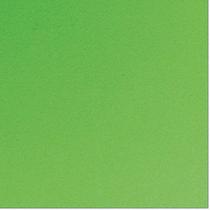 Placa em EVA 60X40CM Verde Grama 1,6MM