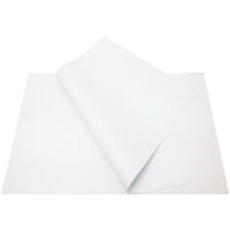 Placa Em Eva Com Gliter 40X60Cm Branco V.M.P. Pct.C/05