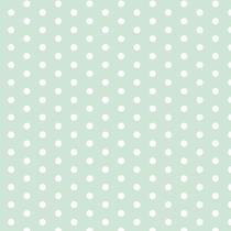 Placa em EVA Estampado 60X40CM Poá VERDE/BRANCO 2MM - Pacote com 5