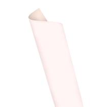 Placa Eva Color 40Cmx60Cm Branco Pct/10Folhas Leoarte
