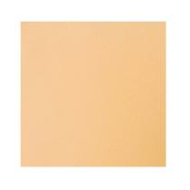 Placa Eva Make+ 40x60cm 2mm Liso com 10 Folhas Bege Placa Eva Make+ 40x60cm 2mm Liso com 10 Folhas Bege