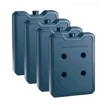 Placa Gelo-X Gel Reutilizável 500Ml Kit 4 Unid 17X10X3,5Cm