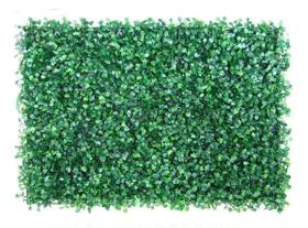 Placa Grama Artificial Muro Inglês Jardim Vertical 60X40Cm