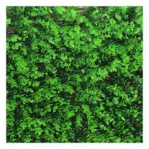 Placa Grama Muro Inglês Jardim Vertical Artificial 40x60cm Placa Grama Muro Inglês Jardim Vertical Artificial 40x60cm