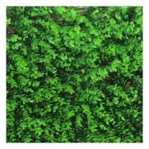 Placa Grama Muro Inglês Jardim Vertical Artificial 40x60cm Placa Grama Muro Inglês Jardim Vertical Artificial 40x60cm