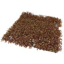 Placa Jardim Vertical Buchinho Luxo 50x50 Cm Proteção Uv Retardador De Chamas cor:vermelho