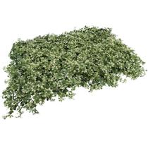 Placa Jardim Vertical Folhagem Luxo 40X60 cm Proteção Uv Retardador de Chamas