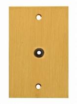 Placa latao 4x2 c/furo - olivo