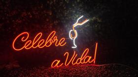 Placa luminosa de NEON de led - CELEBRE A VIDA - 60 cm (A) x 35cm (L) - Multi Led Neon
