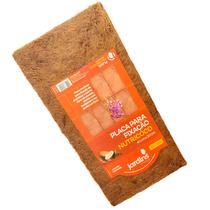 Placa Orquídeas Fibra De Coco Plantas Trepadeiras