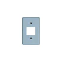 Placa para Interruptor 2 Teclas Cinza - Ilumi, Opção: Cinza