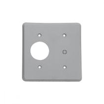 Placa Perlex 4X4 (Turd+Cega)
