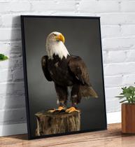 Placa/Quadro Decorativo Águia Americana 40X60Cm Ps 2Mm