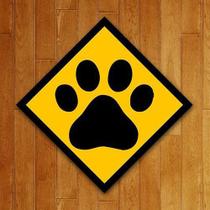 Placa Quadro Decorativo Pet - Dog - Cachorro (36X36)