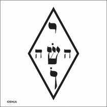 Placa Radiônica Ioshua 17X 9,5 EM PVC 19X19 CM