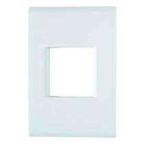 Placa rasquini 4 x 2 2 int.