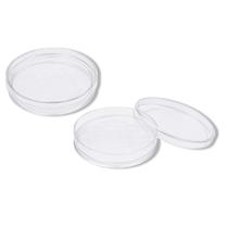 Placa Rodac 60x15mm 10un - Cral Placa Rodac 60x15mm 10un - Cral