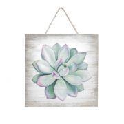 Placa Suculents Green Elegans String Bege Urban Placa Suculents Green Elegans String Bege Urban