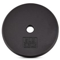 Placas de peso Yes4All, ferro fundido de 1 polegada, 2,27 kg (5 libras), simples