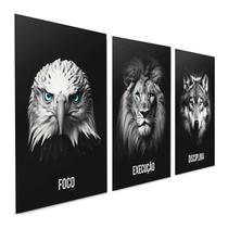Placas Decorativas Grande Foco Execução e Disciplina Animais Águia Leão e Lobo 3 Peças - Bhardo