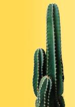Placas Decorativas Plantas Minimalistas E Coloridas Mdf Placas Decorativas Plantas Minimalistas E Coloridas Mdf