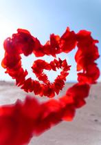 Placas Decorativas Romance Amor Namorados Love Paixão