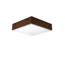 Plafon com Madeira Lateral 40x40x9 cm
