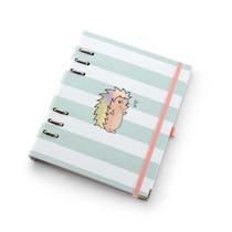 Planner Premium Argolado ótima A5 Coleção Riccio Listras com Caixa Premium