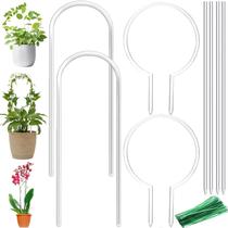 Plant Trellis Jesosia, pacote com 8 acrílico transparente para vasos de plantas