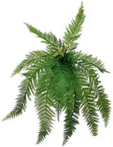 Planta 1 Pendente Buque Samambaia Renda Portuguesa 72cm