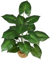 Planta Alocásia 18 Folhas 100cm Verde Permanente Decor Planta Alocásia 18 Folhas 100cm Verde Permanente Decor