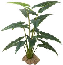 Planta Alocasia Zebrina Premium 11 Folhas 160 cm Verde Real Planta Alocasia Zebrina Premium 11 Folhas 160 cm Verde Real