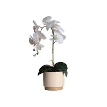 Planta Arranjo Artificial Orquídea Realista Vaso Cerâmica