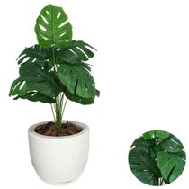 Planta Artifical Costela de Adão Com Vaso Bojo Cores
