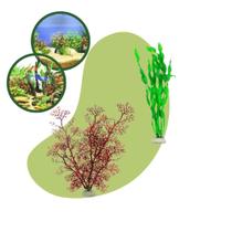 Planta Artificial 30cm N19 kit com 2 Para Aquário Terrário e Decoração