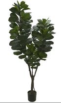 Planta Artificial A. Ficus Lyrata Real Toque x121 (2,1 m)