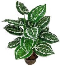 Planta Artificial Aglaonema Folhagem Real Verde Permanente