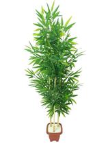 Planta Artificial Árvore BAMBU JAPONÊS 1,30 metros de altura