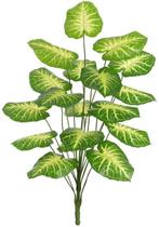 Planta Artificial Arvore Caladium Real Toque X18 Verde Creme 1m