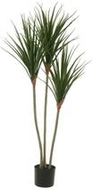 Planta Artificial Arvore Dracena Marginata C/Pote X3 Verde 1,20cm
