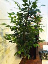 Planta Artificial Árvore FICUS CLASSIC 1,80 metros de altura Planta Artificial Árvore FICUS CLASSIC 1,80 metros de altura