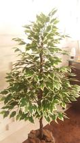 Planta Artificial Árvore FICUS VARIEGATA 1,30 metros de altura