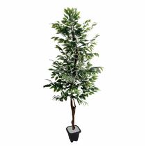 Planta Artificial Árvore FICUS VARIEGATA 1,80 metros de altura Planta Artificial Árvore FICUS VARIEGATA 1,80 metros de altura
