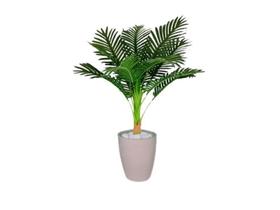 Planta Artificial Árvore Palmeira 95cm Real Toque Kit + Vaso S. Bege 30cm Planta Artificial Árvore Palmeira 95cm Real Toque Kit + Vaso S. Bege 30cm