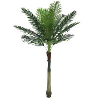 Planta Artificial Árvore Palmeira Real Toque X15 2,10m - FLORESCER DECOR